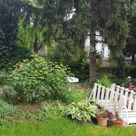 Apartman Stojanovic *