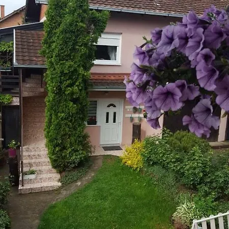 Stojanovic Sremska Kamenica
