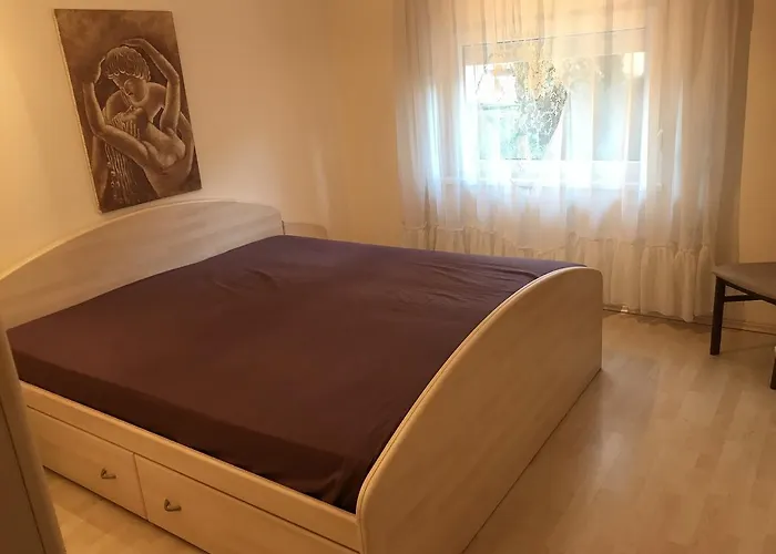 Stojanovic Sremska Kamenica