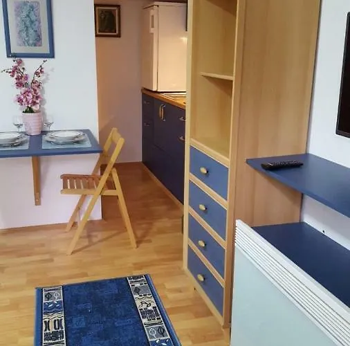 Stojanovic Sremska Kamenica