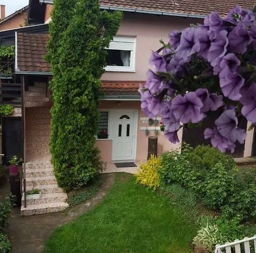 Stojanovic Sremska Kamenica